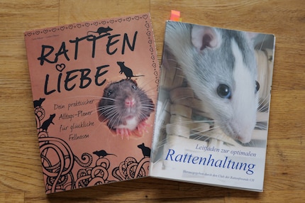 Du solltest dich gut auf die Tiere vorbereiten und vorab etwas über ihr Verhalten wissen.