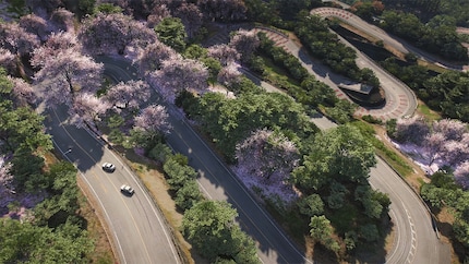 Le strade a serpentina fanno parte del Giappone tanto quanto i ciliegi.