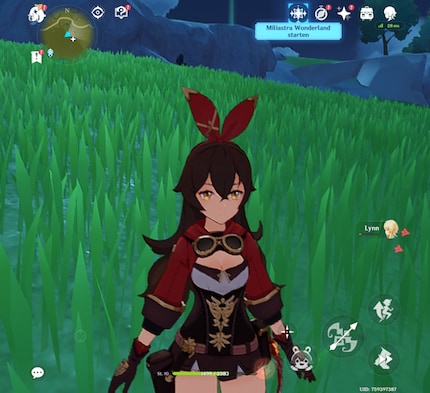 Genshin Impact kann ich nur in mieser Qualität zocken.