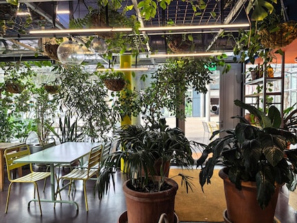 Drinnen bei wenig Licht macht die Kamera gute Bilder.