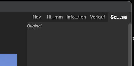 Was wohl «Sc… se» bedeutet? Nicht, was du denkst.