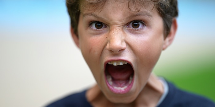 Shutterstock/Bricolage