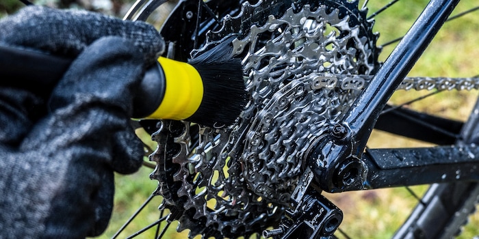 Patrick Bardelli Patrick Bardelli