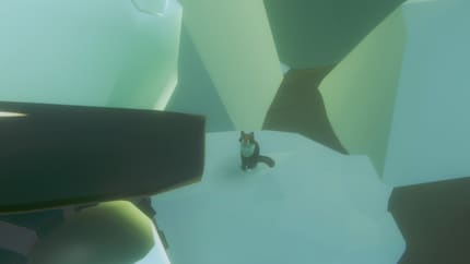 Für diese einsame Katze gehe ich gerne einen Umweg.