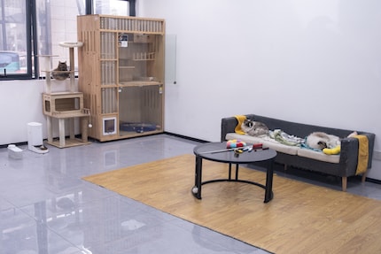 Der Extraraum für Haustiere.