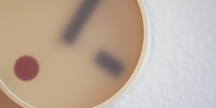 Stefanie Lechthaler Stefanie Lechthaler