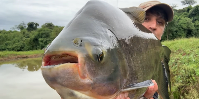 Screenshot Youtube / Aquaminas Piscicultura