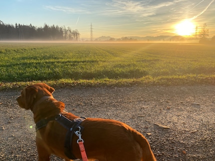 Kurz durchatmen hilft immer: Eine Runde ums Feld und die Welt ist wieder in Ordnung.