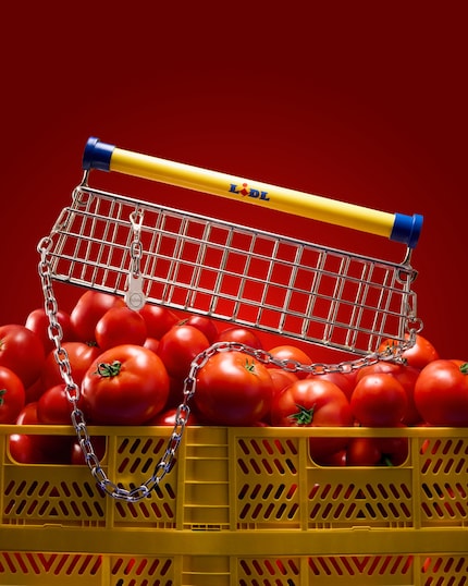 High fashion from the discounter.