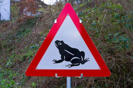 Schilder wie dieses zeigen auf, dass Amphibien die Strasse überqueren.