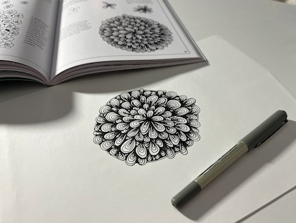 Nicht selten bin ich so vertieft ins Zeichnen, dass ich erst am Ende sehe, was dabei tatsächlich heraus gekommen ist.