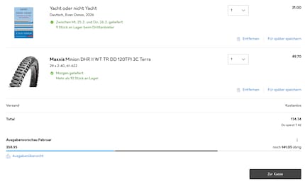 Mein Ausgabelimit beträgt 500 Franken - mit diesem Einkauf bleibe ich unter meiner selbst gesetzten Limite.