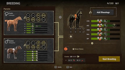 Pferde haben verschiedene Eigenschaften und können auch gezüchtet werden.