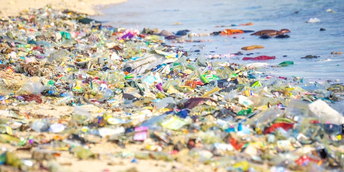 Mang Kelin / Shutterstock