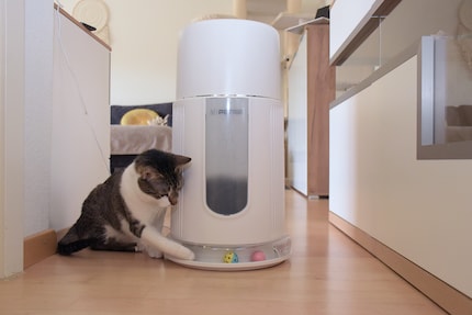 Die Bälle im Luftfilter sind interessant – für den Moment.