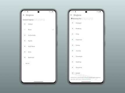New ringtones should be available to choose from.