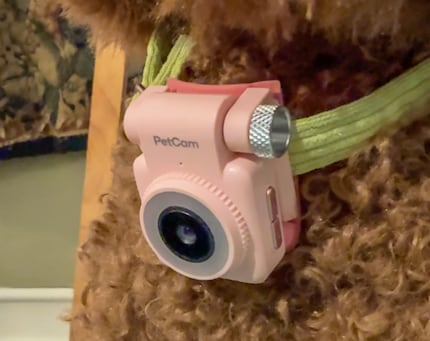 Für zusätzliche Augen am Pet Phone gibt es die Pet Cam.