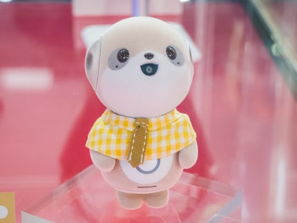 Poketomo ha abilmente posizionato la fotocamera nella sua bocca.