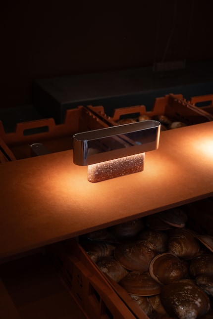 Ob als Wand- oder Tischleuchte – keinerlei Abstriche beim Stil.