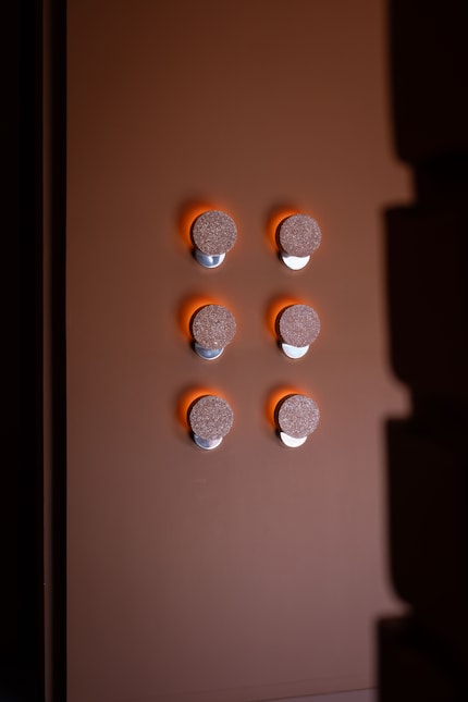 Boxen, in denen die Muscheln geliefert werden, werden hier zu Podesten und Wänden.