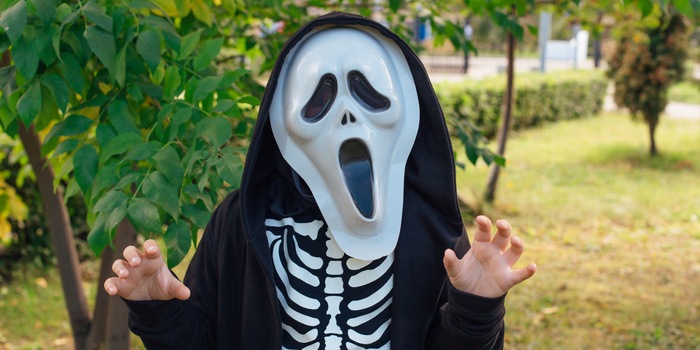 Shutterstock/Smile19