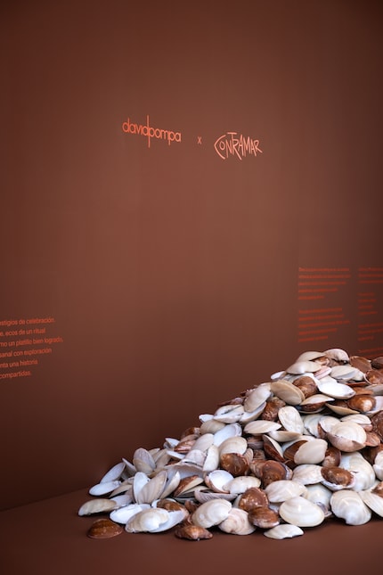 Die Muschelschalen aus Contamars Küche wurden gebrochen …