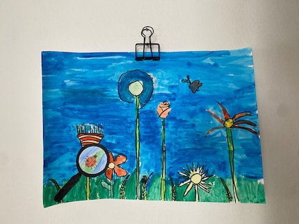 Hallo, Marienkäfer!