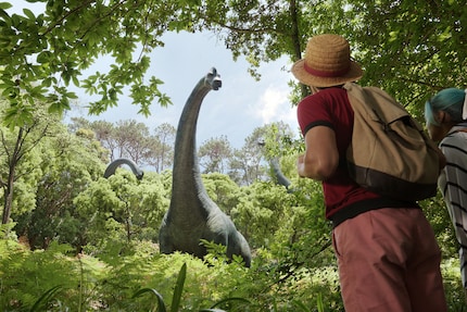 Jede Insel der Grand Line ist eine eigene Welt mit eigenen Gesetzen. Kartografiert ist kaum etwas, was vielleicht auch besser so ist – denn kein Mensch würde es glauben.