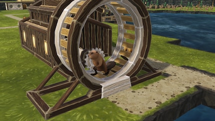 Lauf, mein Biber, lauf!