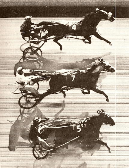 In de eerste «dead heat» op Freehold Raceway in New Jersey in 1953 waren er gewoon drie winnaars. Vandaag de dag zouden we waarschijnlijk de 1e, 2e en 3e plaats netjes uit elkaar houden.
