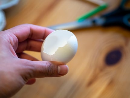 Ausblasen birgt Risiken. Diese Eierschale überlebt den Einstich nicht.