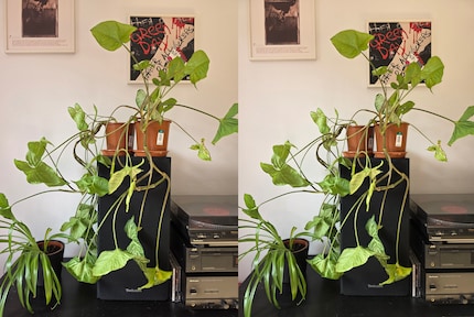 Finde den Unterschied. Das Foto des Galaxy S26 Ultra links sieht gleich aus wie beim Galaxy S25 Ultra.