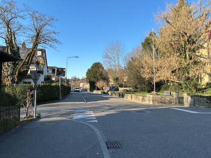 Als de lichtomstandigheden goed zijn, valt er weinig aan te merken op de foto's.