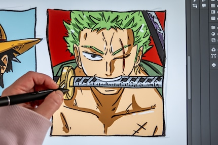 Ich bin zufrieden mit dem Ergebnis. Zorro bestimmt auch.