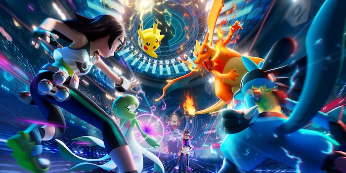 "Nintendo / The Pokémon Company"