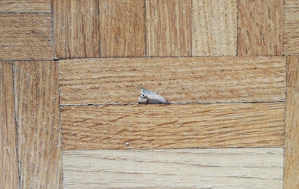 Controller trifft Boden. Ich sehe schwarz für meine Mietkaution. Cool auch, dass ich die Impulskontrolle eines Kleinkindes habe.