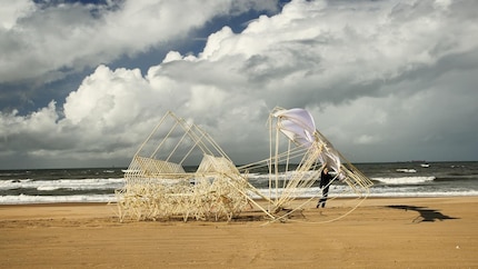 Die Strandbeesten von Theo Jansen liefern das Prinzip: Fortbewegung durch Wind und Mechanik.