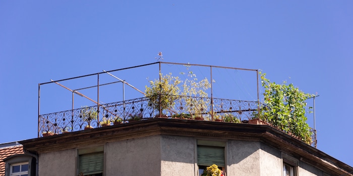 The starting point: your cleared out roof terrace. The starting point: your cleared out roof terrace.