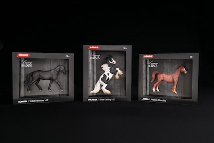 Die wie ein Diorama inszenierte Verpackung und der große Maßstab adressieren gezielt Erwachsene.