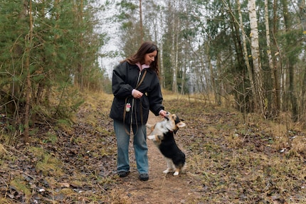 Schutzmittel tragen und Risikogebiete meiden: Das hilft am besten gegen Zecken.