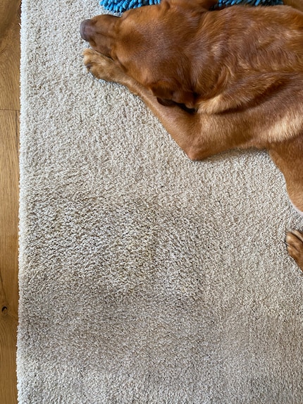 De vlek was alleen maar geel - en nu is hij weg.