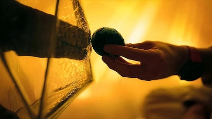 Witzig, eigensinnig, verletzlich – und komplett nicht-menschlich: Rocky ist eine der besten Blockbuster-Figuren seit Jahren. 