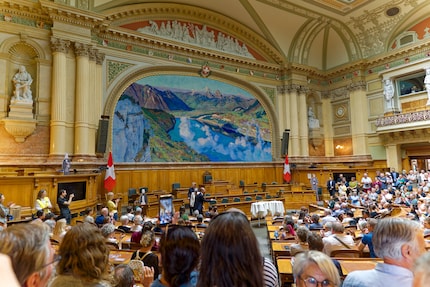 National Council and Council of States agree on spoofing.