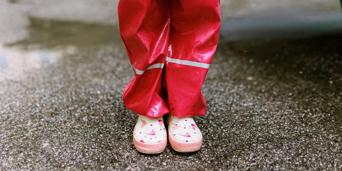 Shutterstock/TanyaYarr