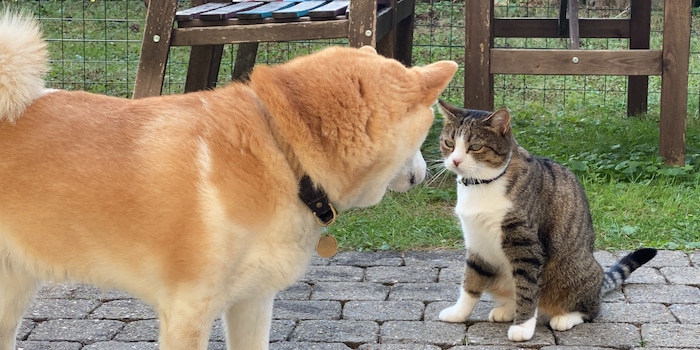 Ann-Kathrin Schäfer Ann-Kathrin Schäfer