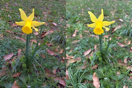 De camera van de iPhone 17 (rechts) is veel beter, maar dat merk je niet altijd.