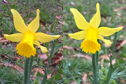 Het valt op als je inzoomt.