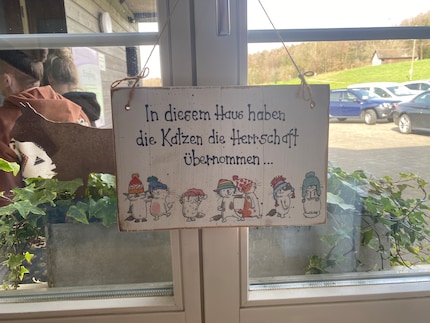 Katzen sind, bleiben oder werden Chef, ob mit Hund oder ohne. Dieses Schild prangt neben dem Tisch im Tierheim, wo wir unser Gespräch führen.