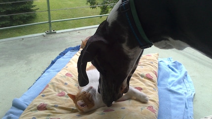 Weggegangen, Platz vergangen!