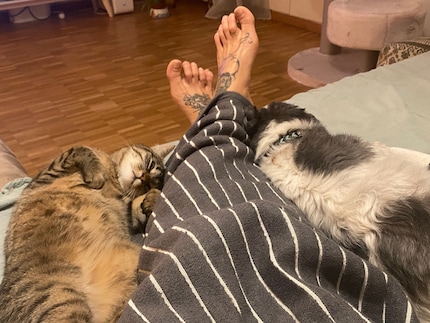 Zusammenführung geglückt: Mercy Effila auf dem Sofa mit Hund und Katze.